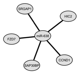 Figure 1 C