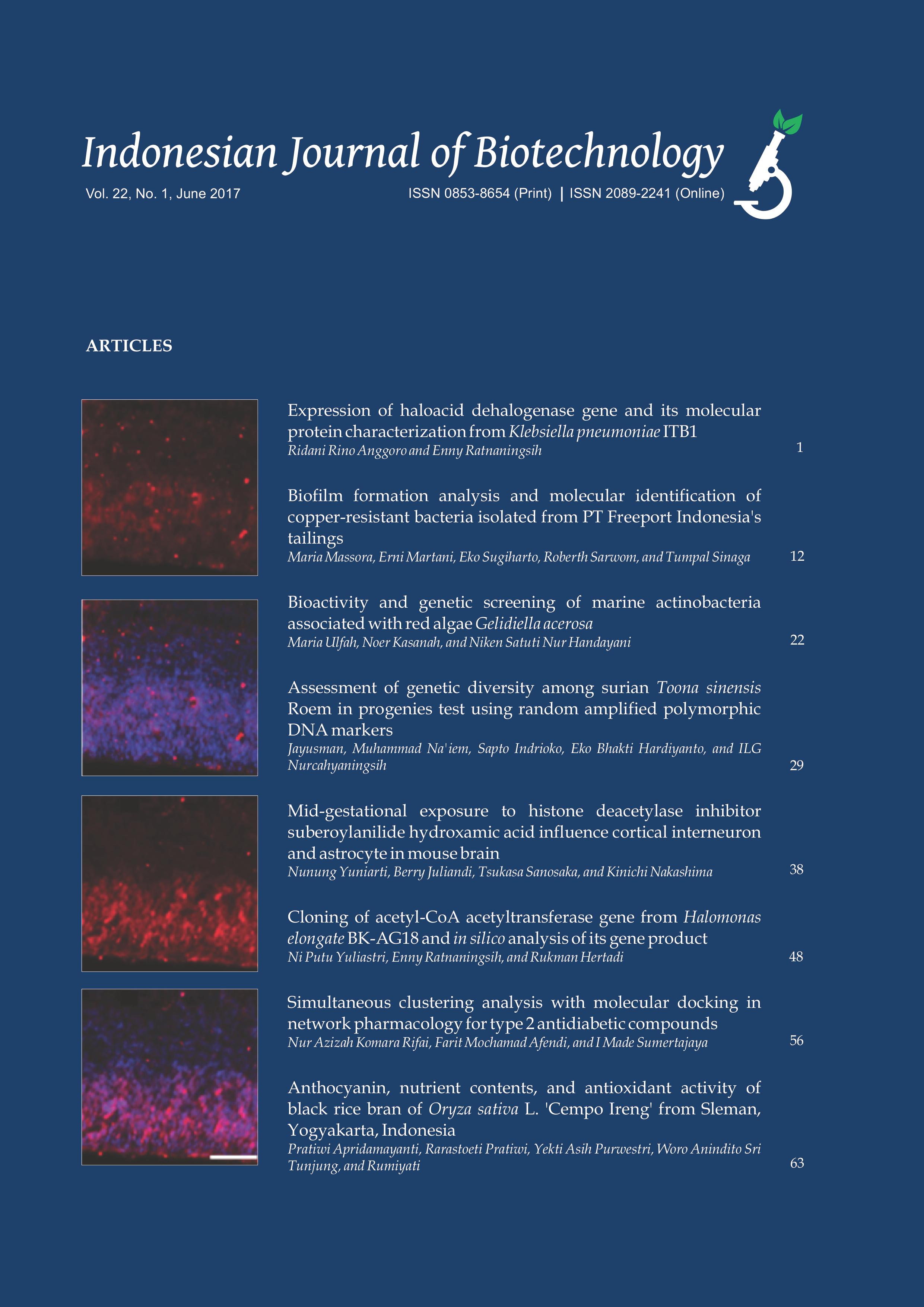 IJBiotech Vol. 22 No. 1